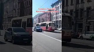 Разнообразие трамваев в СПБ.