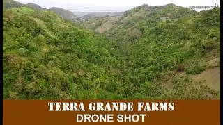 Drone shot sa bukid | TERRA GRANDE FARMS