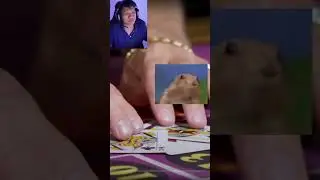 JANGAN MAIN JUDI ONLEN
