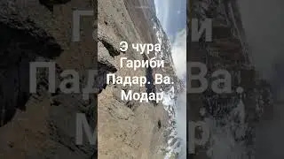 Модар
