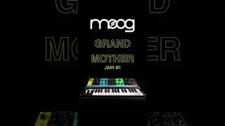 Vintage Synth Vibes: Moog Grandmother Old School Jam Session 🎹✨ #mooggrandmother #beatmaking #synth