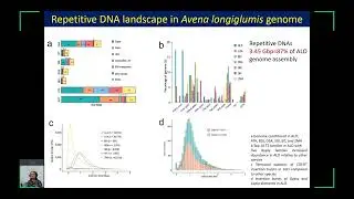 Qing Liu, Chinese Academy of Science.  Chromosome-scale genome assembly of the diploid oat Avena...