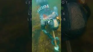 Spearfishing if it Were a Video Game (It is.) #spearfishing #fishing #gaming #videogames #mario