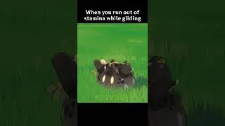 When you run out of stamina while gliding 