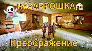 1 октября 2024 г.