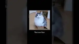 комару и иди мойся 