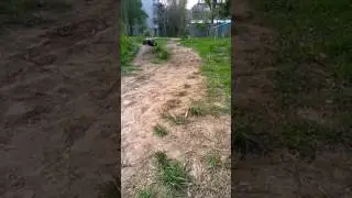 Rc трамплин(5)