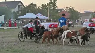 Fijakerijada 2024 RUMA - Poni konji