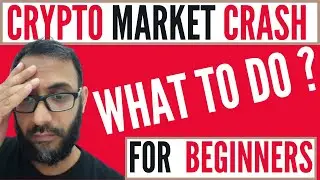 What To Do During Crypto Market Crash? How To Handle Crypto Market Crash For Beginners | Bear Market