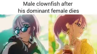 Animal slander (but absurd)