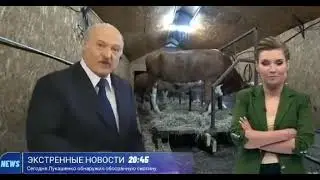 Ты посмотри на эту скотину. Фашист лукашенко как обычно!