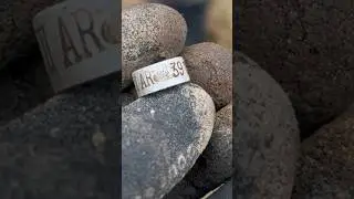 ПТИЦА ИЗ ВОСТОЧНОЙ ПРУССИИ ПОТЕРЯЛА КОЛЕЧКО!