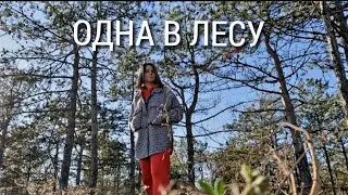 Одесская область. 20.12.2023. Прогулка по лесу. Начинаем читать сказку...