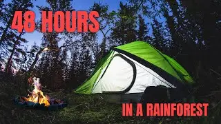 48 Hours Hot Tent Camping In A Rainforest