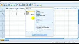 SELECT CASES SPSS