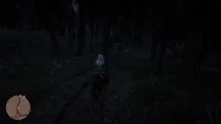 Red Dead Redemption 2 prisonnier