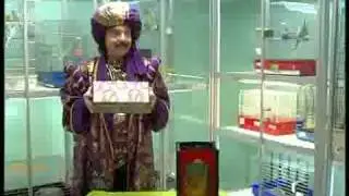 Амаяк Акопян в зоомагазине Динозаврик.avi