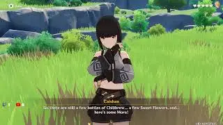 Grinding for AR 35 (genshin impact