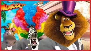 Madagascar - Coffin Dance Song COVER