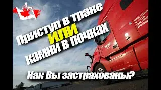Приступ в траке. Как камень выходит из почки
