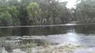 Murrumbidgee River flooding in Darlington Point!!!