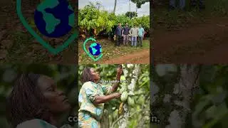 Harvesting a greener future