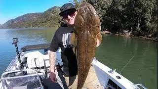 The BIGGEST Flathead I’ve Ever Seen - Crocodile Hunting In The Hawkesbury River - Fishing Australia