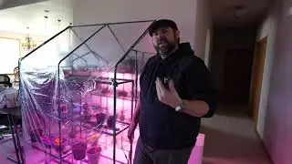 Grow Your Own Mini Jungle Indoors With These Led Grow Lights And Greenhouse Combo!