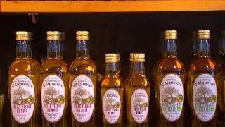Domaine de Vielcroze