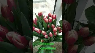 18 февраля 2023 г.