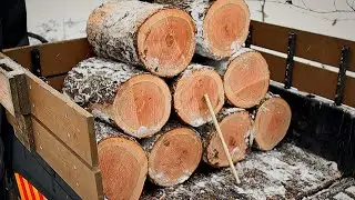 $6 DIY Hack To Cut Perfect Firewood