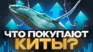 🐋 Что покупают КИТЫ? Обзор альтов, крипта.