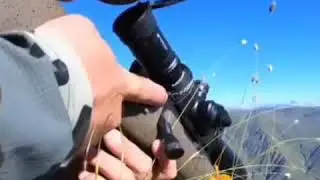Трофейная охота на Дагестанского тура в горах Дагестана