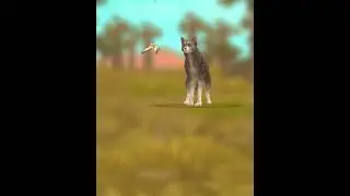 Кошки-мышки Мурка 