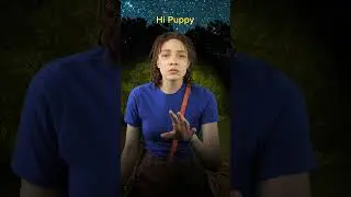 Don't Pet the Dog #scarystories