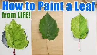 How to Draw and Paint a Leaf from Life Kids Watercolor Art Tutorial