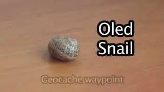 Oled snail