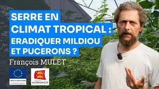 Conduite tropicale des serres : une solution contre les ravageurs et maladies ?, François Mulet