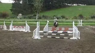 Lila 80cm show jumping at woodhill sands