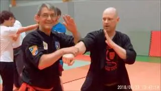 Silat Seminar with Master Joko Suseno 2018 at Kempokan Heidelberg, Germany