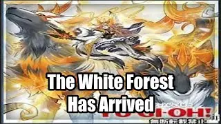 l YuGiOh l The White Forest! New Archetype!
