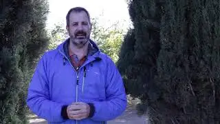 Dana y Borrasca fría aislada NOV 2020