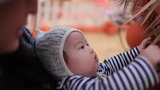 🎃 Joey Visits the Pumpkin Patch 🎃