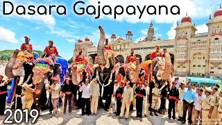 Arjuna Elephant @ Mysore Dasara Gajapayana Royal Reception For Jumbos Mysore Karnataka tourism