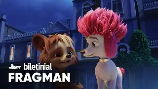 %100 Kurt Fragman | Biletinial