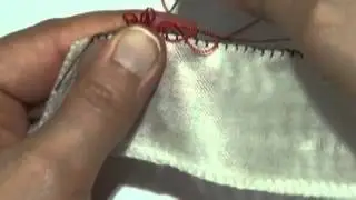 FLY WING