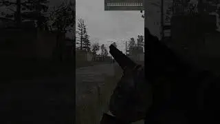 Легальный чит.God mode в Stalker Anomaly.Desolation