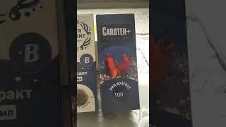 29 августа 2022 г.