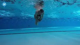 Etape 1 : Mettre la tête sous l'eau - Technique du « Phoque »