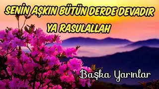 Senin Aşkın Bütün Derde Devadır Ya Rasulallah